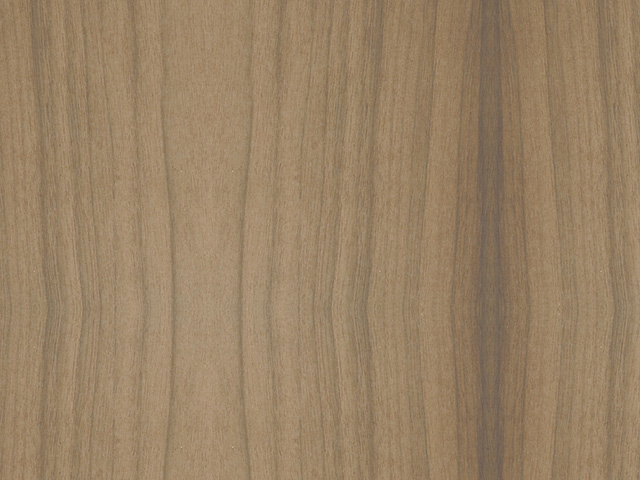 American Black Walnut Sepium