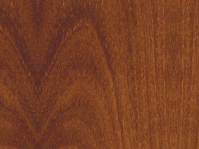 African Mahogany T19