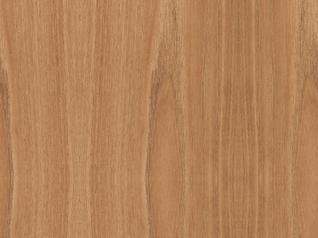 American Elm