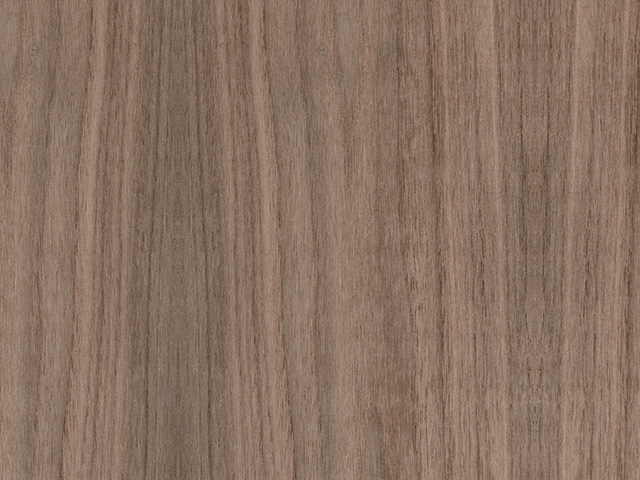 American Walnut