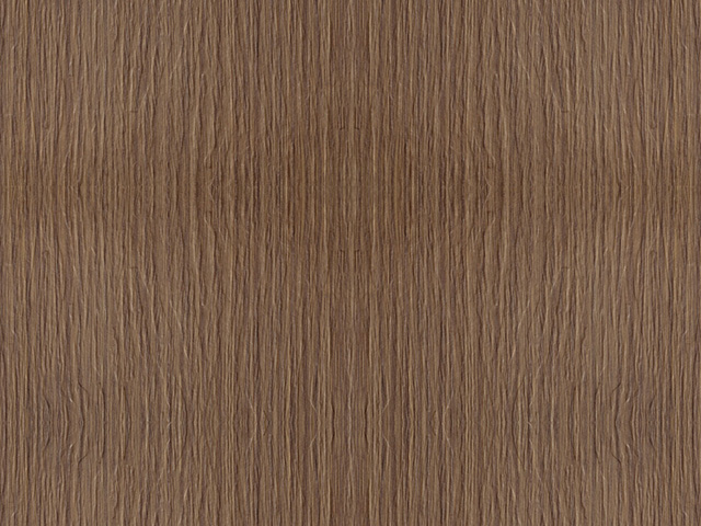 Fossilized wood Oak Salvia 326