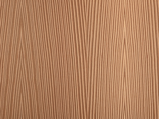Steamed Beech sablé