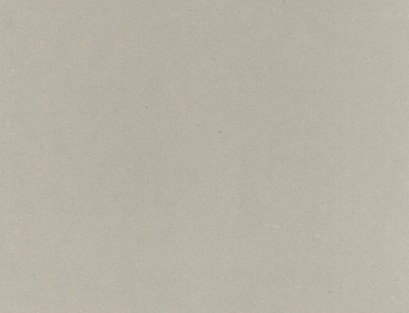 White Grey | Bílo šedá